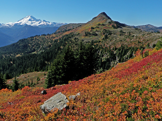 Fall color with Mt. Baker