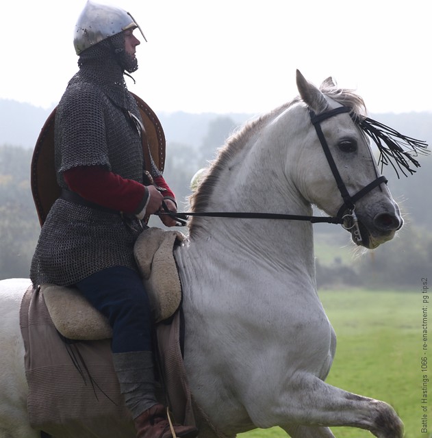 battle of hastings 1066: magnificent spanish steed