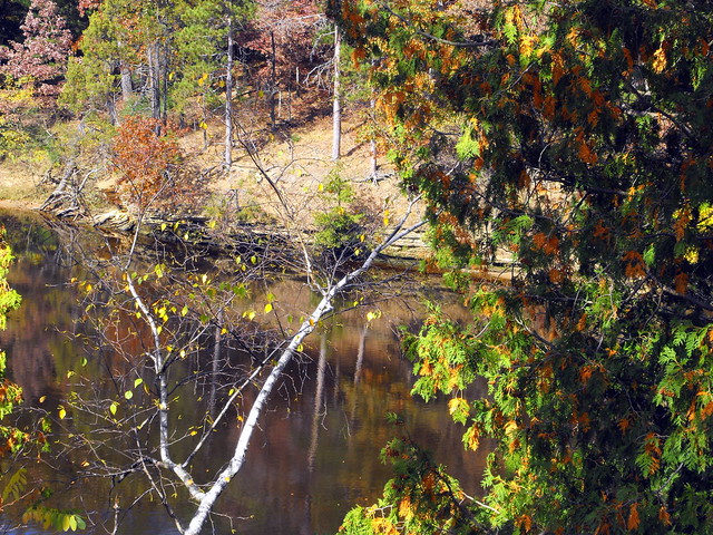 Scenic Wisconsin River In Autumn.