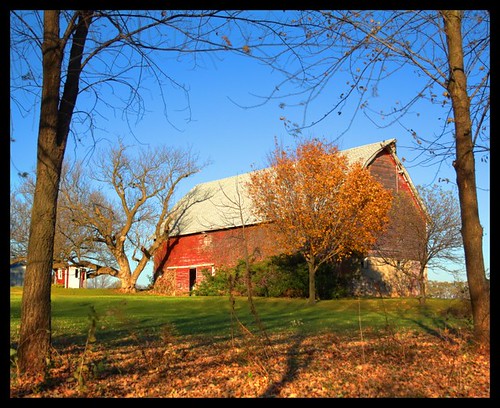 autumn wisconsin rural landscape country barns farms walworthcounty midwestbarn