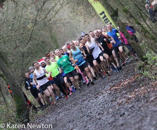 175 | by Karen Harland (Newton) 2015
