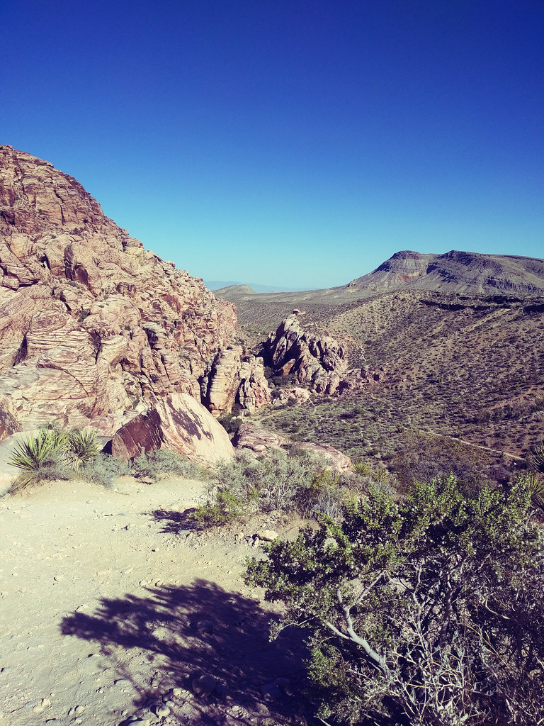 Calico Basin