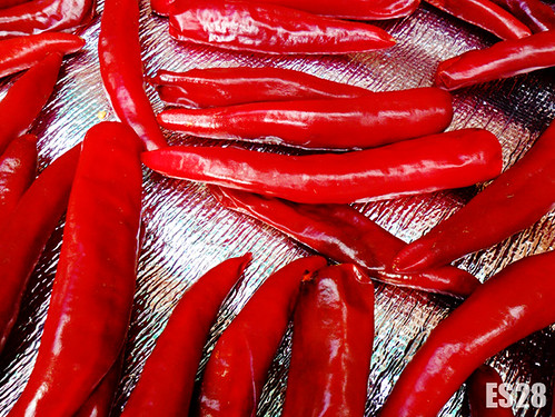 red chili by es28 | by Mournt12