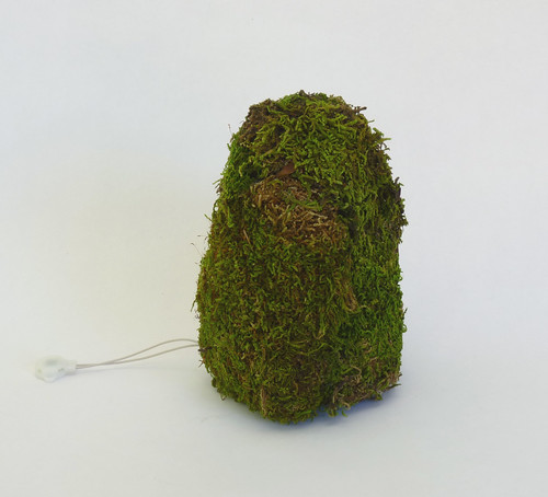 Misako Inaoka "Small Moss Creature"