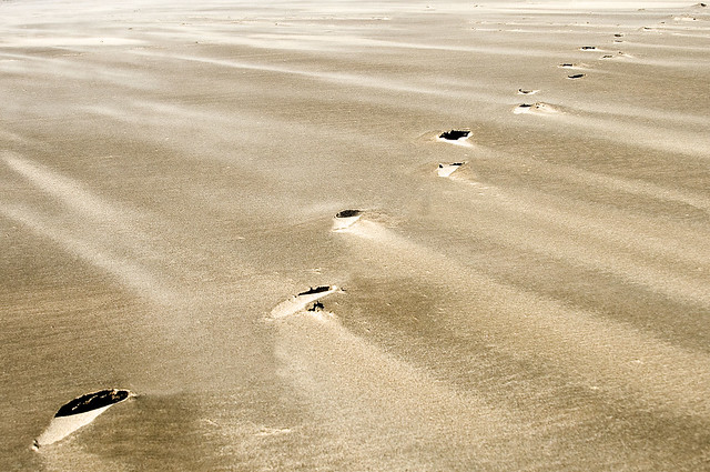 Sand Blowing over Footprints