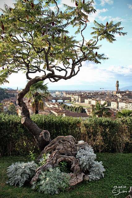 looking out from Piazzale Michelangelo