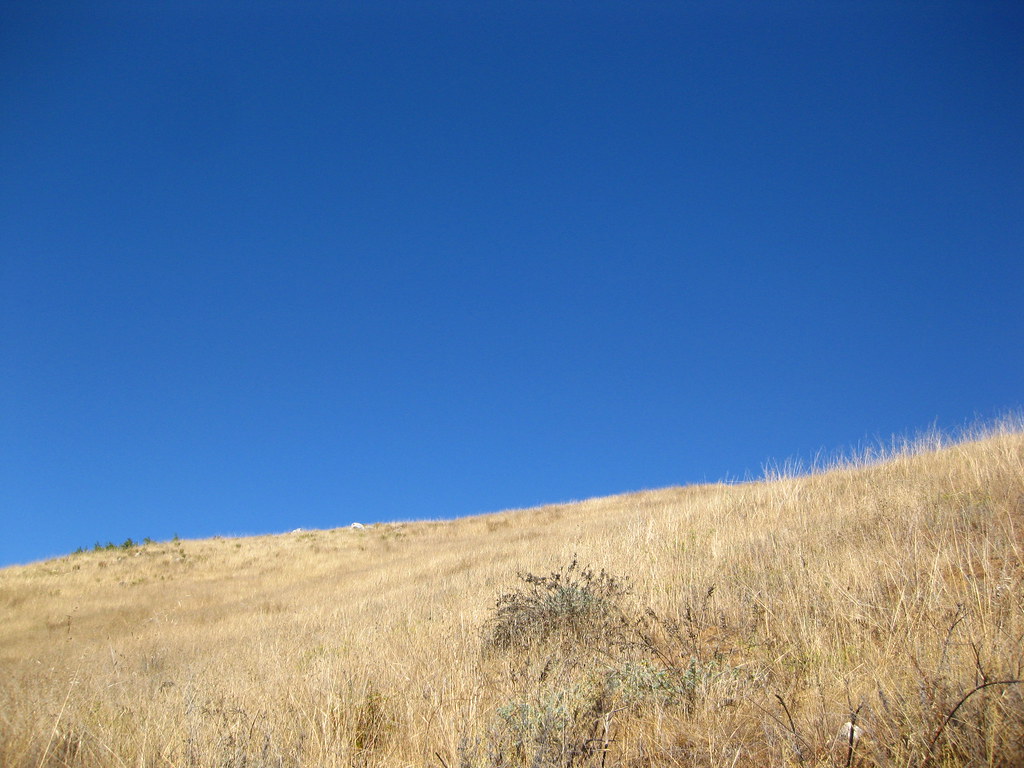 Big Sur, Bay Area Expeditions