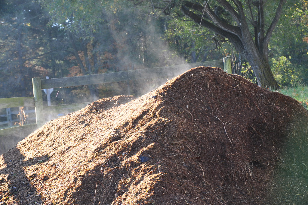 A pile of aged chicken manure fertilizer ready to be spread in a garden.