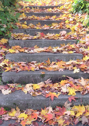 Another walk in the cemetery | by Joann aka Jee Whiz!