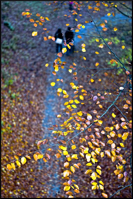 Autumn walk (Český ráj - Böhmisches Paradies - Paradis de Bohême)