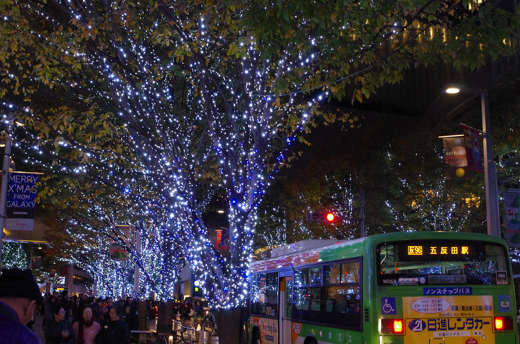 roppongi's autumn & winter