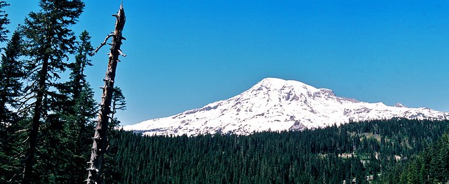 Panoramic photo of Mount Rainier