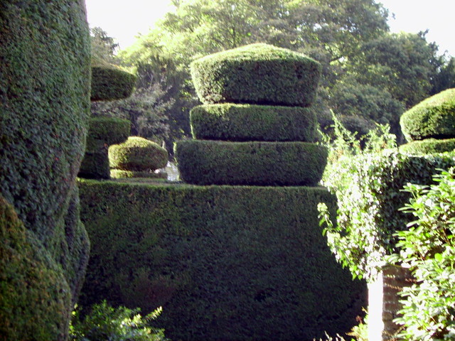 Topiary | Topiary in Tatton Park | Fiona Moate | Flickr