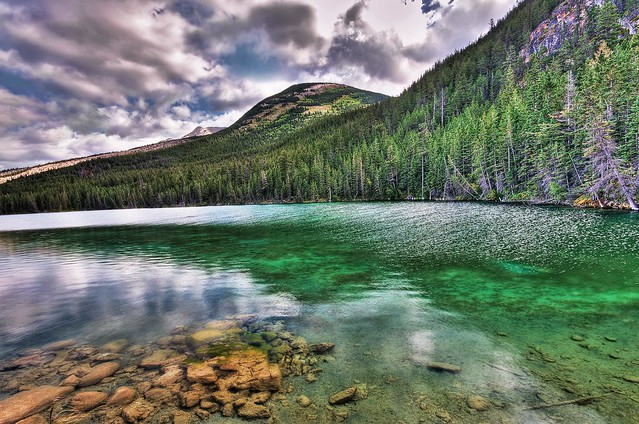 Moose Lake In Canadian Rockies