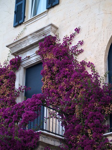 purple door | ethan john | Flickr