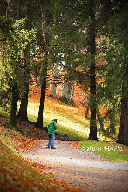 Autumn in castle Ambras park