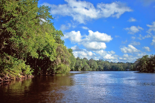 trees water clouds river woods stream florida fanningsprings suwanneeriver fanningspringsstatepark