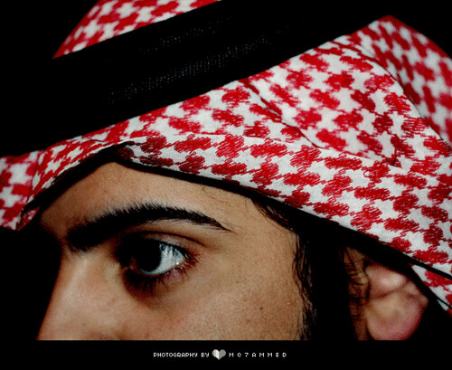 ~  . .  M E 2 | by MO7AMMED4PHOTOGRAPHY