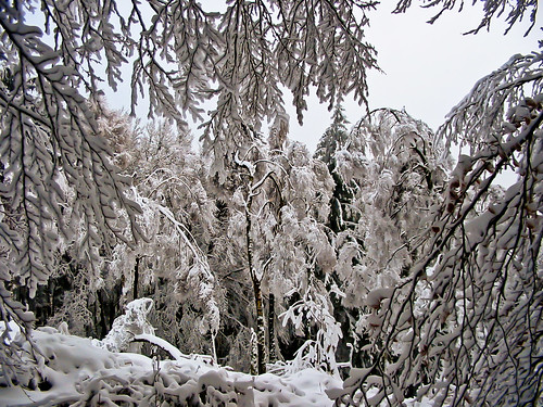 Winter in Bielefeld