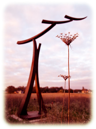 Weeds by viking_79, Weeds grow up at Lowe Park in Marion, IA.  They catch the light of the setting sun.

I will get tire