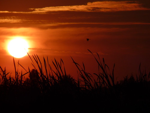 P1040017 by morta73, Prove di controlucesunset