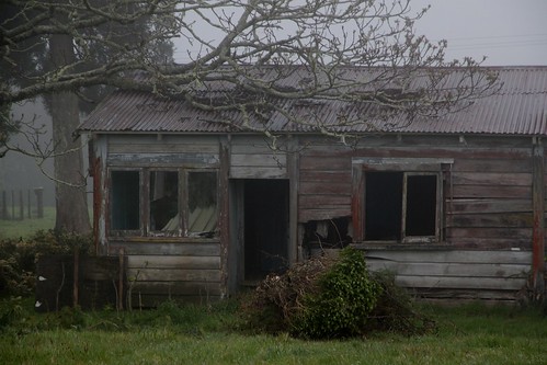 old newzealand house abandoned rural village decay cottage ruin waikato derelict dilapidated bayofplenty kaimai oldandbeautiful oncewashome