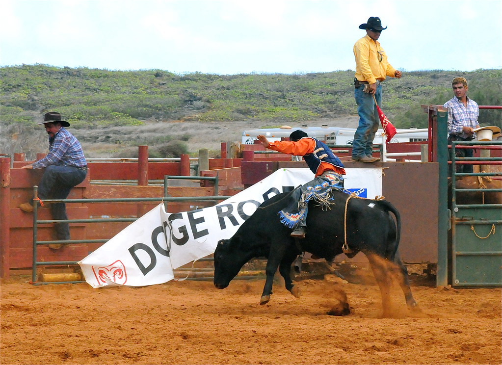 2010 Koloa Rodeo Bull Riding #17 | Brian Howell | Flickr