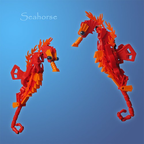 Seahorse