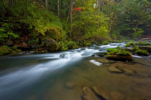 life longexposure autumn fish fall sports nature water colors forest canon landscape fly fishing rocks stream exposure quiet peace scenic rocky rapids foliage upstatenewyork flyfishing trout waterblur mossy roaring torrent secluded marcellusfalls marcellus angling sportsmen ninemilecreek eos40d