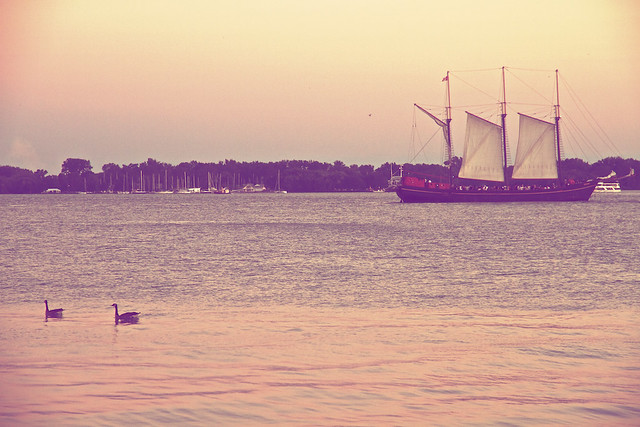 geese and tall ship
