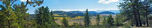 county autumn panorama mountain mountains color tree fall yellow pine colorado pano meadow panoramic ridge co aspen chaffee sanisabelnationalforest ptgui elkmountainranch