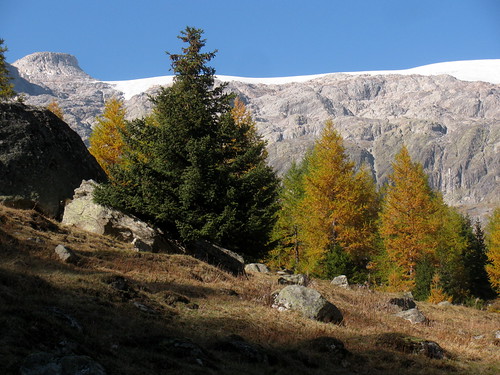 Herbststimmung im Lötschental mit Petergrat , Kanton Wallis , Schweiz | by chrchr_75