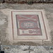 Letoon, mozaika v Apollonově chrámu, foto: Petr Nejedlý