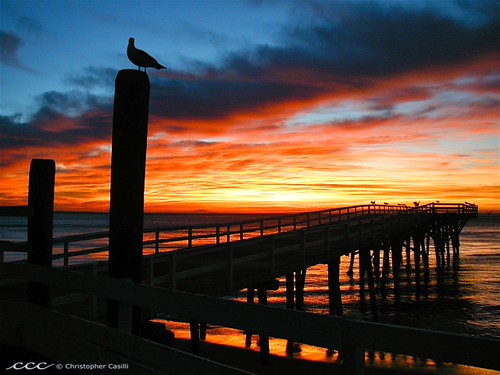 USA-California / A Fiery Sunrise over Paradise Cove by Les Yeux Heureux, A Fiery Sunrise over Paradise Cove

An amazing reddish-orange predawn glow over Santa Monica Bay as 