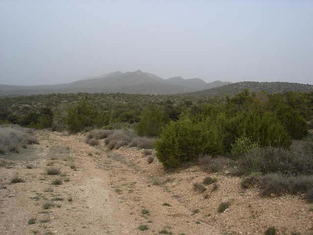 Wanu Makhlouf (Djebel Makhlouf, جبل مخلوف) in the horizon