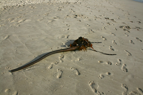 Camps Bay Beach