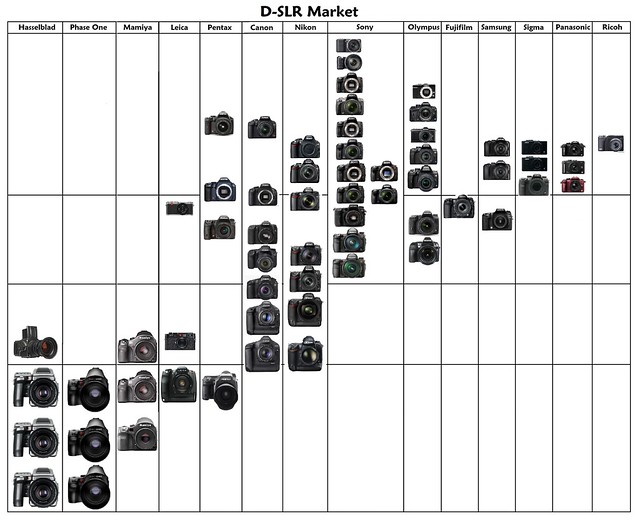 D-SLR Market: Version Three