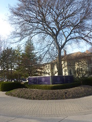 Northwestern-universiteit