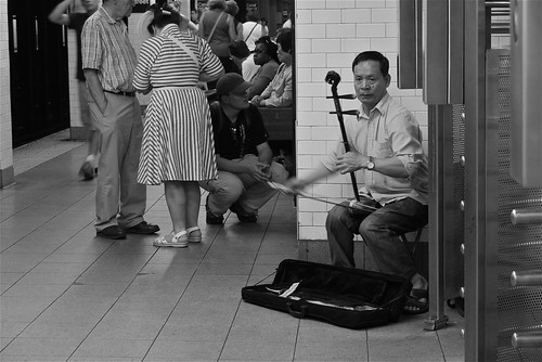 Sweet music... | by giuliano.saade