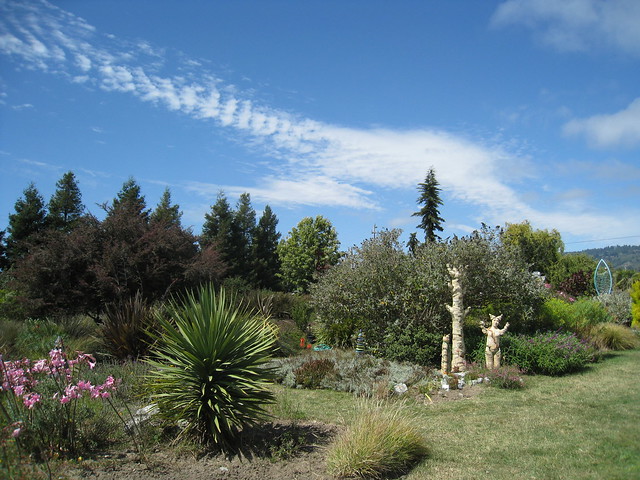 Sierra Azul Nursery & Sculpture Garden