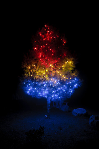 light night canon lights christmastree christmaslights 40d