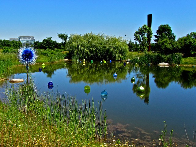 Chihuly pond installation