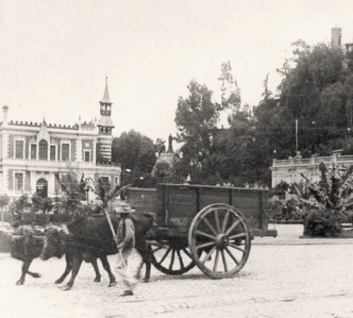 1900  Futura Plaza Vicuña Mackenna, vista parcial de una fotografia de la Coleccion Chilectra