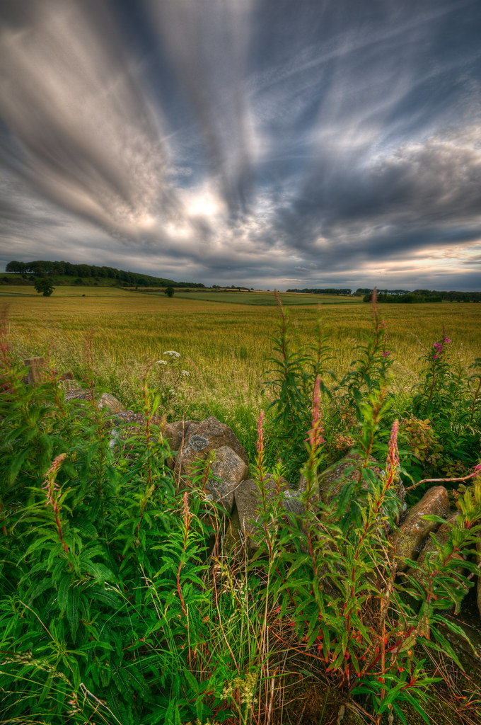 Sky and Fields by Jim Gove