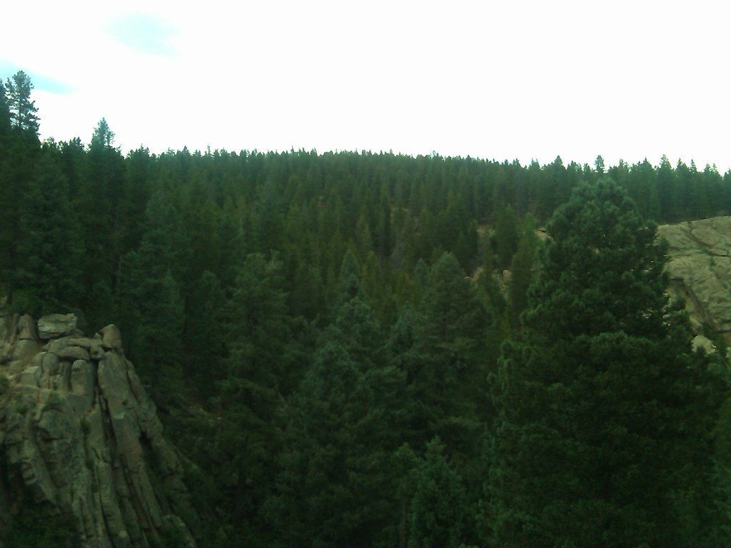 Maxwell Falls Loop