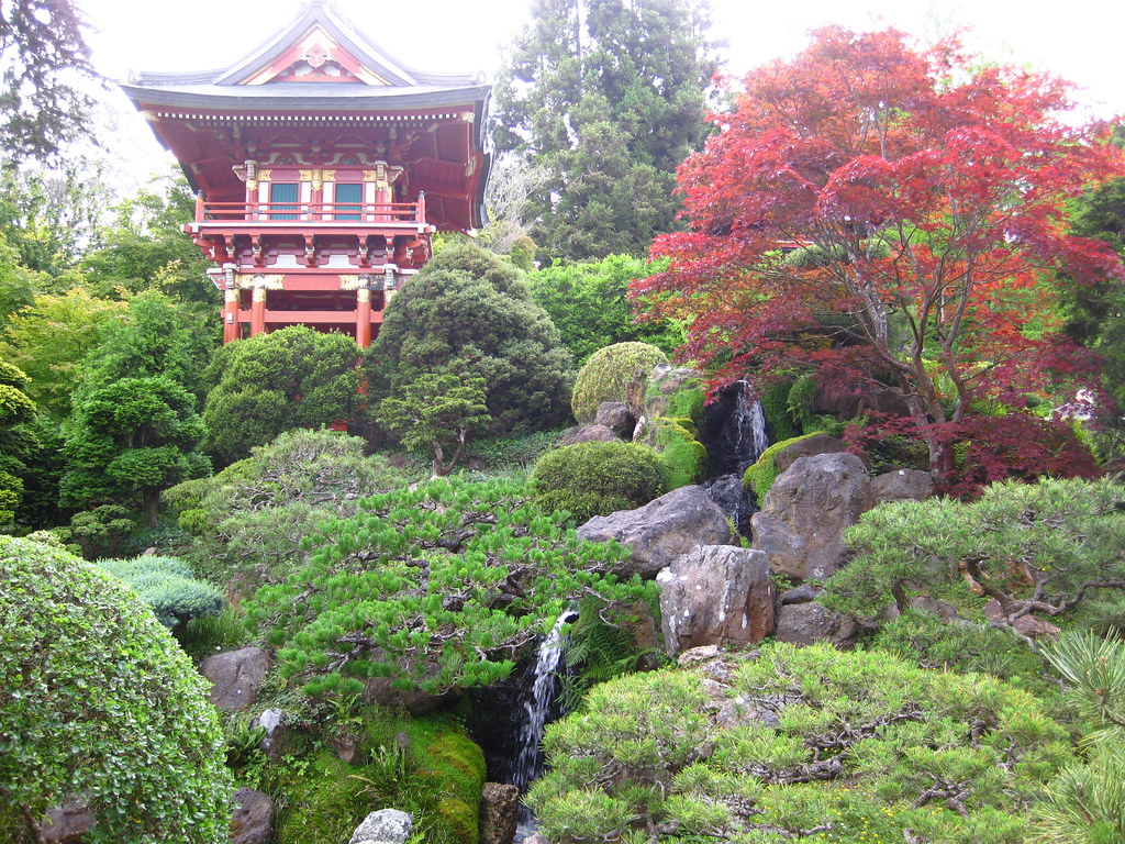 Japanese Tea Gardens