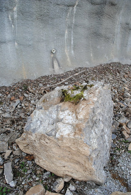 2010_0323 1450.. A murderous limestone sits in guilt