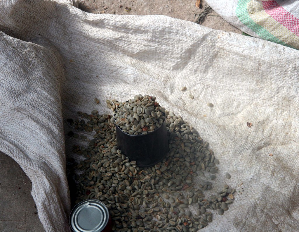 Harar Ethiopian Coffee Beans