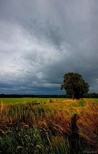 landscape nederland limburg landschap cloudswolken belfeld mygearandmepremium