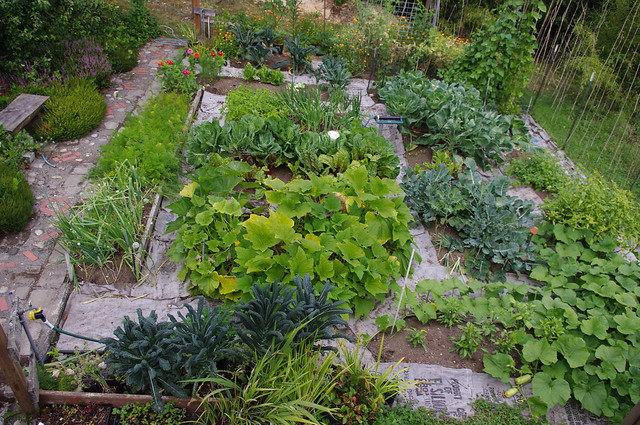 Looking Down on the Garden